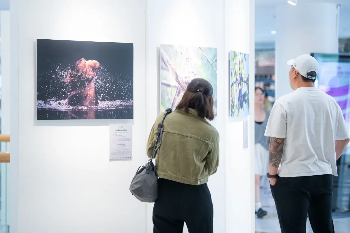 ทส. ผนึกเครือซีพีจัดนิทรรศการสัตว์มีค่า ป่ามีคุณ ครั้งที่ 31