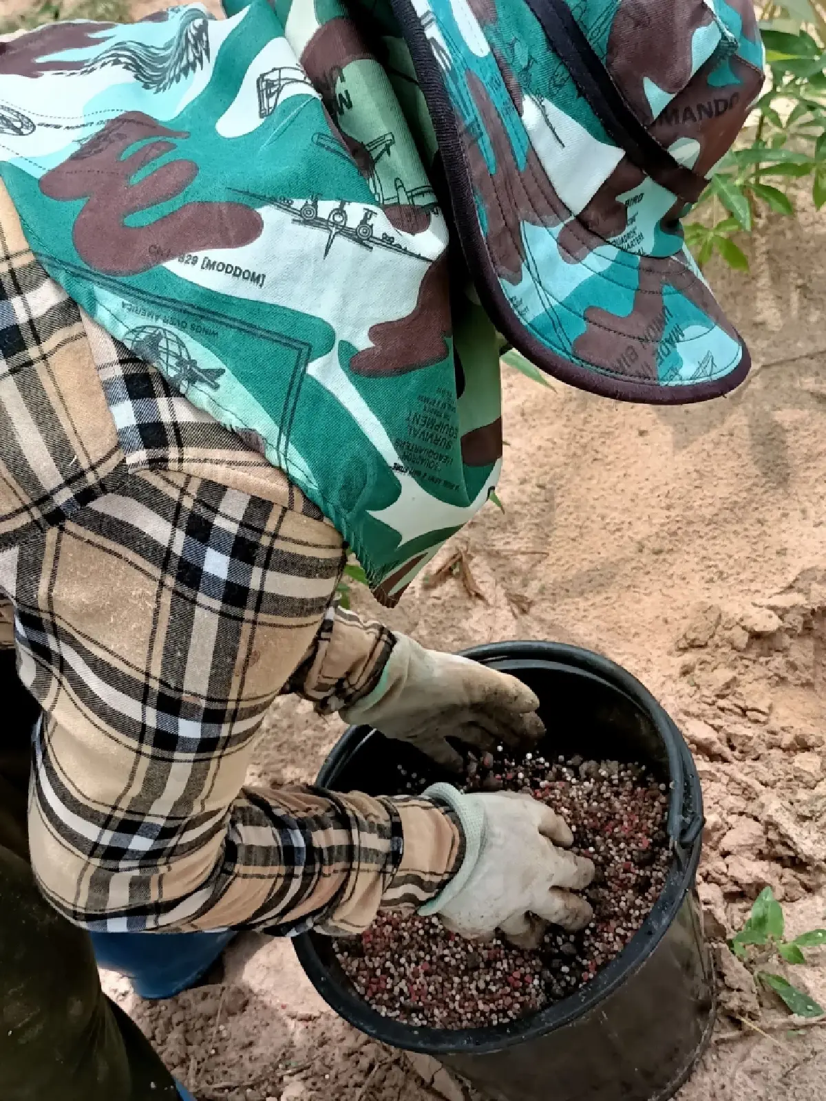 เกษตรฯ ปลื้มแปลงใหญ่มันสำปะหลังร้อยเอ็ด รายได้พุ่ง 80% ต้นแบบเกษตรมูลค่าสูง