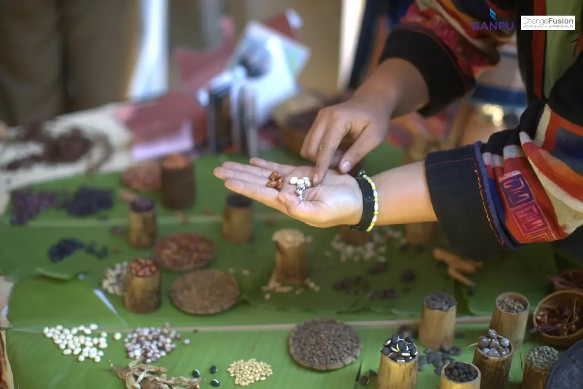 Seeds Journey จากอาหารอาข่า สู่กิจการเพื่อสังคม โมเดลสร้างรายได้ให้ชุมชน