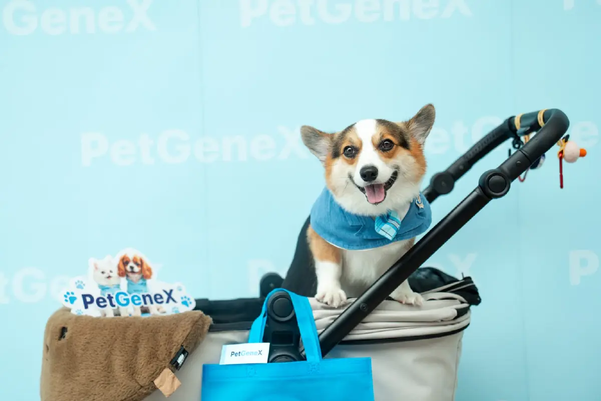 PetGeneX ธนาคารสเต็มเซลล์สัตว์เลี้ยงจากเลือดรายแรกของไทย!