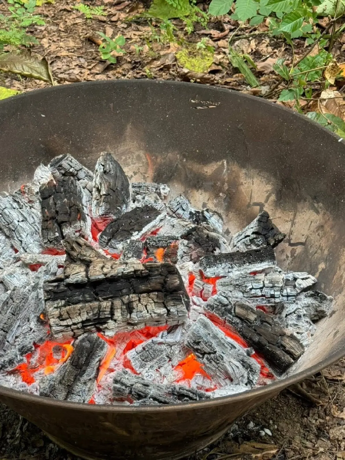 เปลี่ยน “ขอนไม้แห้งที่อาจกลายเป็นเชื้อไฟให้ป่า” ให้กลายเป็นแหล่งเพาะเห็ดมูลค่าสูง