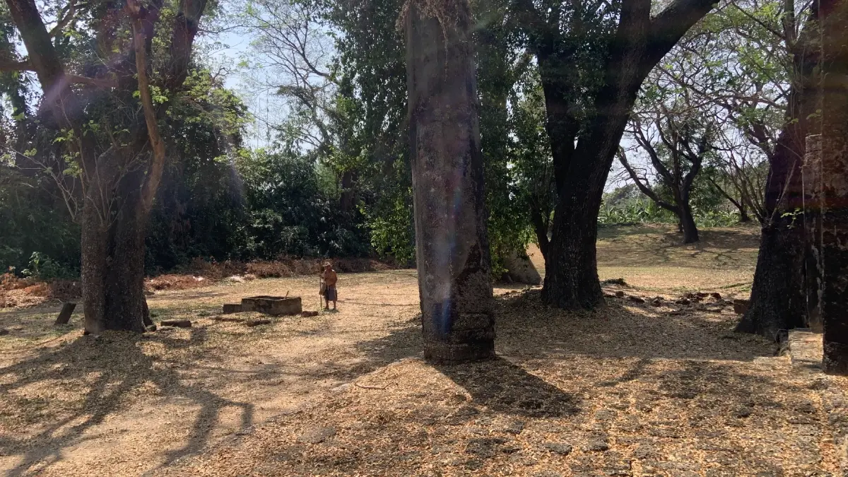 ความร่มรื่นของแมกไม้นานาพันธุ์และพื้นที่ได้รับการดูแลอย่างดีในบริเวณโบราณสถาน