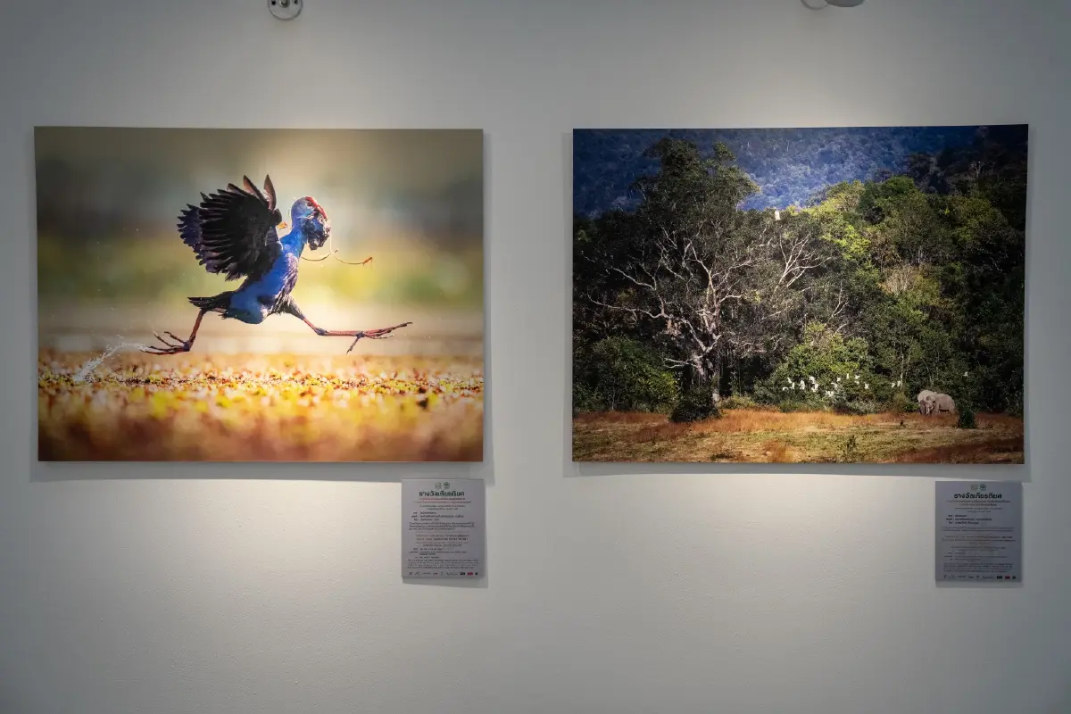 ทส. ผนึกเครือซีพีจัดนิทรรศการสัตว์มีค่า ป่ามีคุณ ครั้งที่ 31