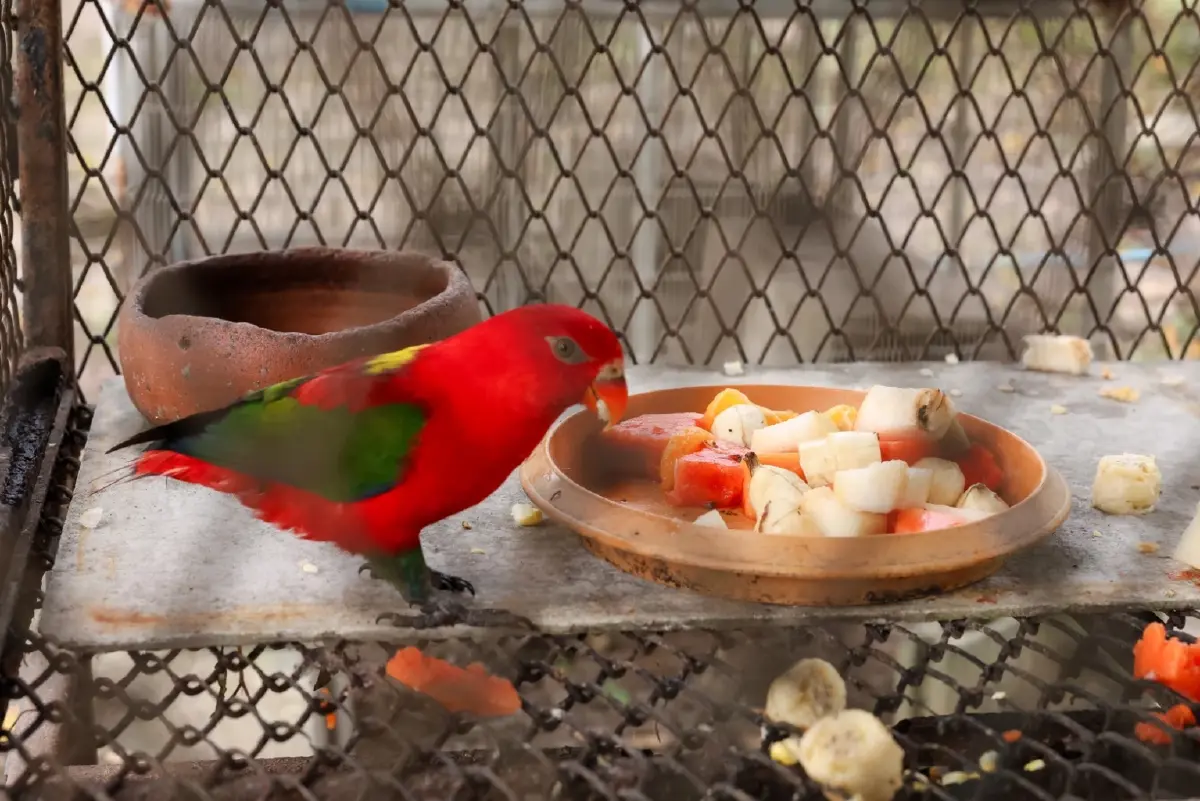 ซีพี แอ็กซ์ตร้า โชว์ศักยภาพจัดการขยะอาหารบนเวทีระดับภูมิภาค 2026