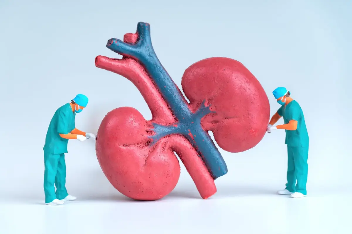 นักวิจัยจุฬาฯ เจ๋ง! ค้นพบ โพรไบโอติก “แอล34”  ลดการอักเสบในผู้ป่วยไตเรื้อรังได้!