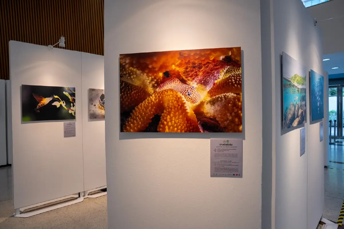 ทส. ผนึกเครือซีพีจัดนิทรรศการสัตว์มีค่า ป่ามีคุณ ครั้งที่ 31