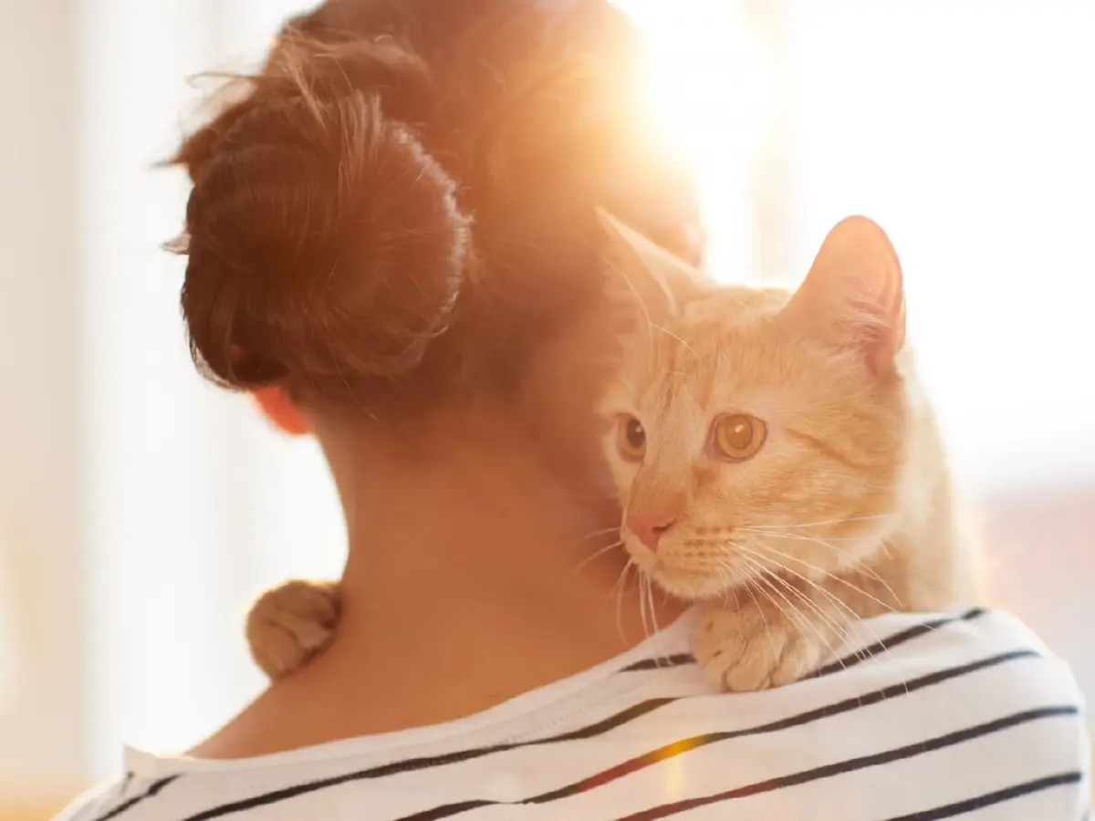 จากทาสสายเปย์ สู่ทาสสุดคูล เมื่อการเลี้ยงสัตว์คือการบริหารค่าใช้จ่ายระยะยาว