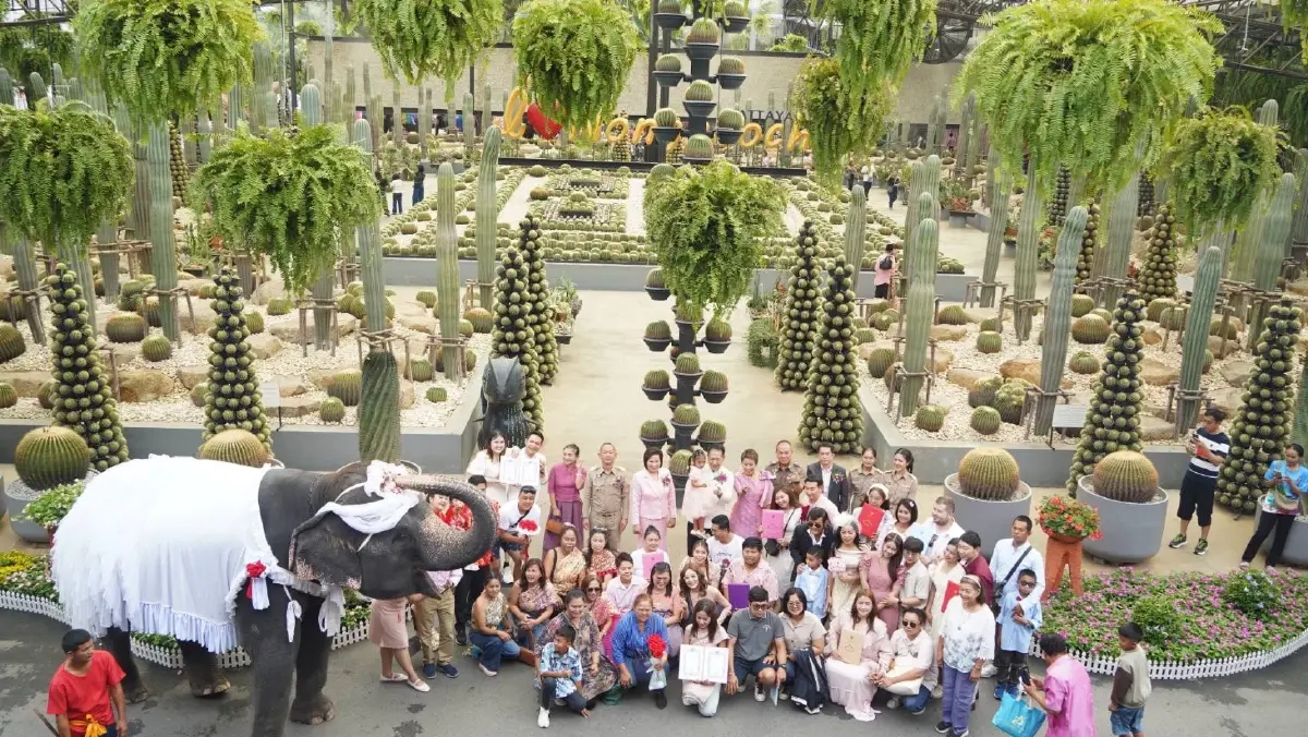 วาเลนไทน์บนหลังช้าง! สวนนงนุชพัทยาจัดจดทะเบียนสมรส 9 คู่