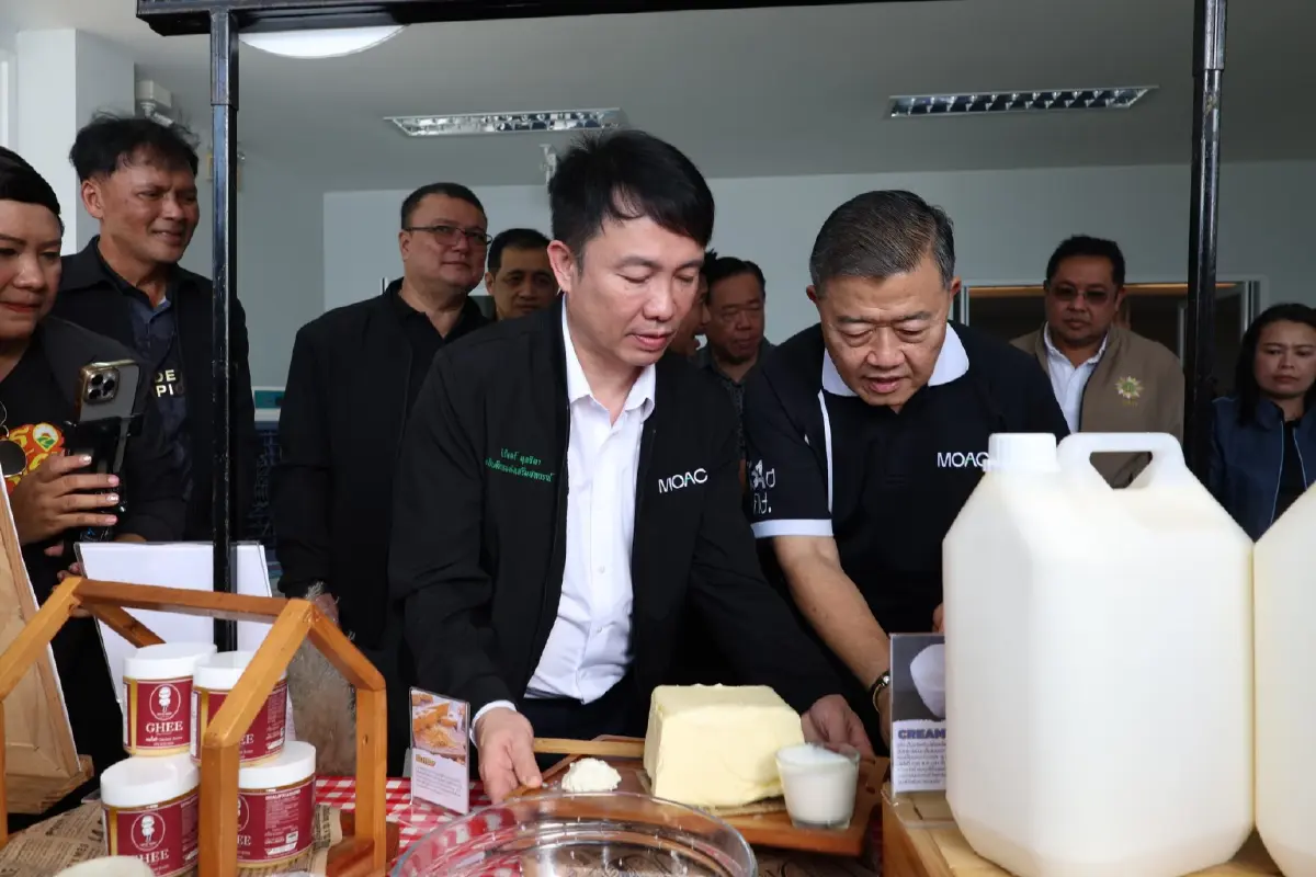 สหกรณ์โคนมกำแพงแสน ทุ่ม 300 ล้าน ผุดโรงงานนมผง แก้ปัญหาน้ำนมล้นตลาด-เพิ่มมูลค่าสินค้า