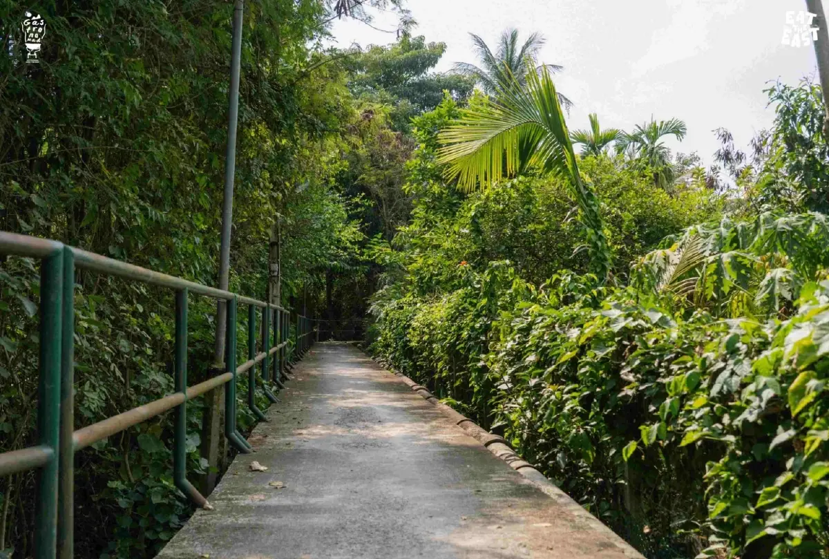 สมุทรปราการที่บางกระเจ้า ชวนเปิดประตูสู่เส้นทางสายกิน “Eat the East”