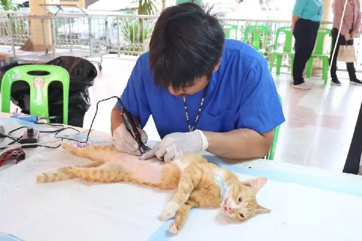ไอคอนสยามจับมือ กทม. เปิด ICONSIAM PETS CARE ฝังชิป-ฉีดวัคซีนฟรี!