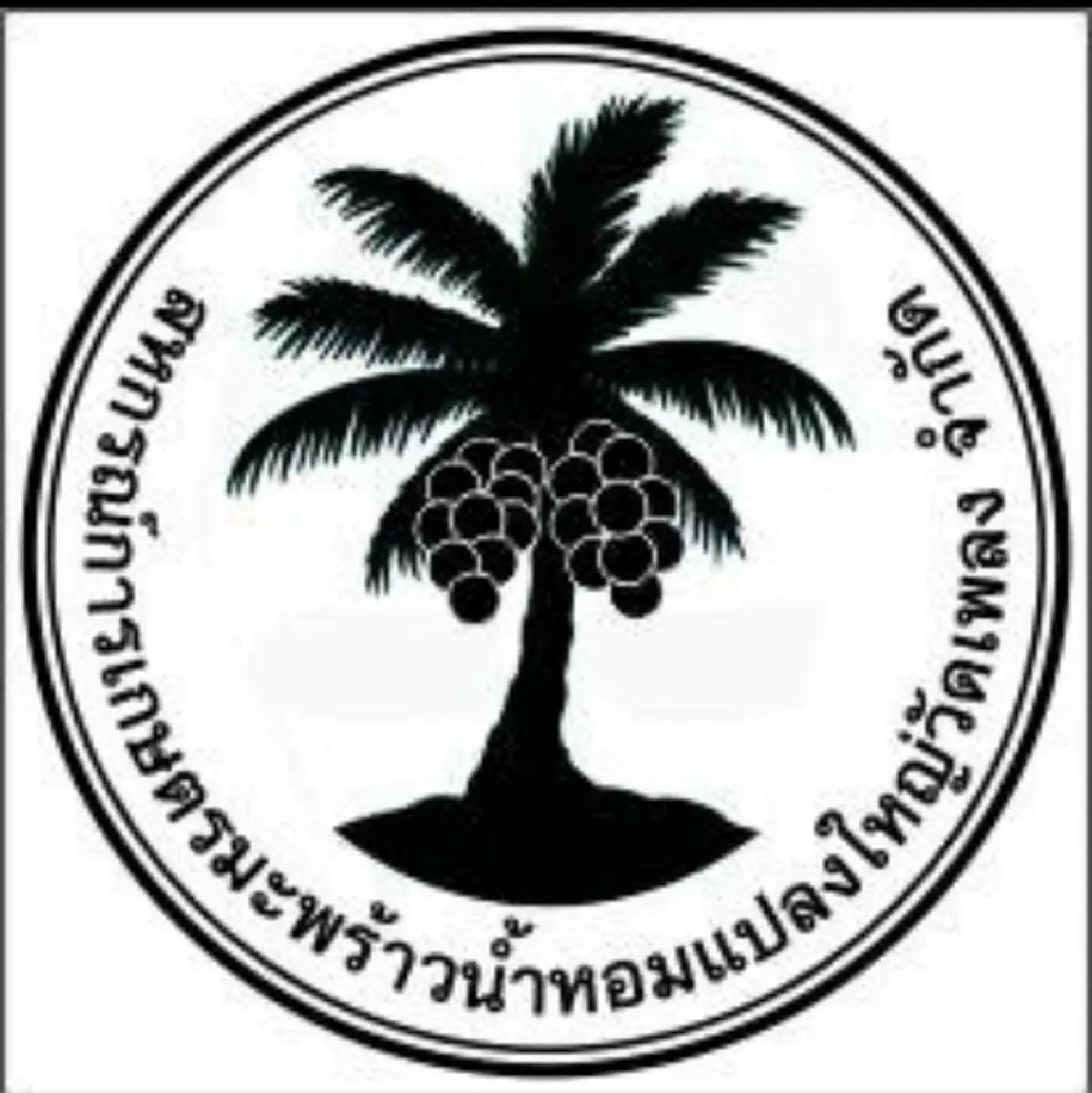 สหกรณ์ฯ มะพร้าวน้ำหอมแปลงใหญ่วัดเพลง ต้นแบบความสำเร็จที่ยึดหลัก "ช่วยสมาชิกโดยไม่หวังผลกำไร"