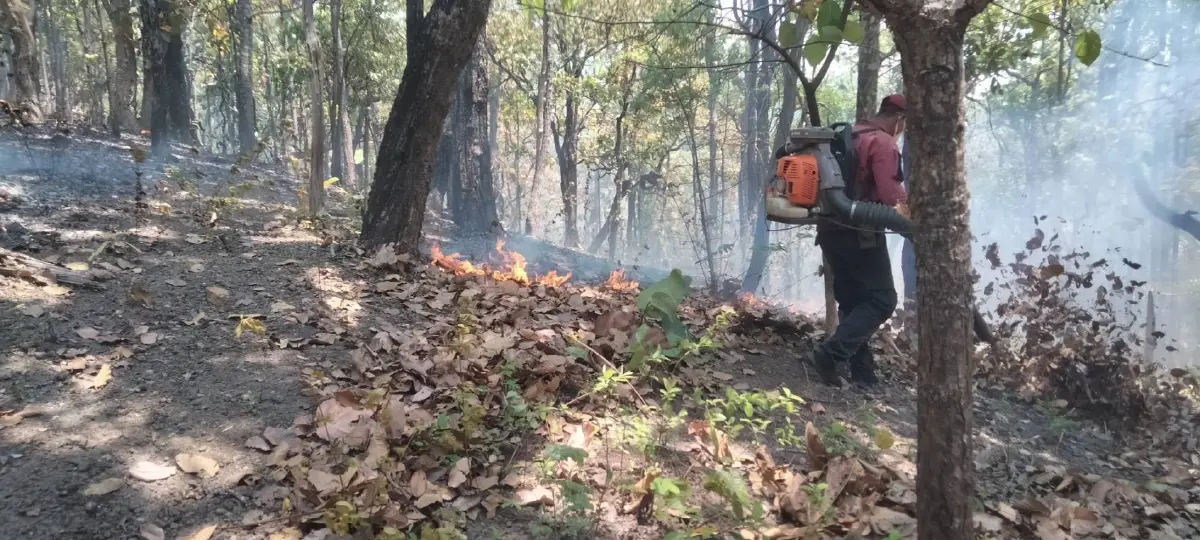 ปลัด มท. สั่งด่วน 17 ผู้ว่าฯ ภาคเหนือ ยกระดับมาตรการลดผลกระทบจากฝุ่น PM 2.5