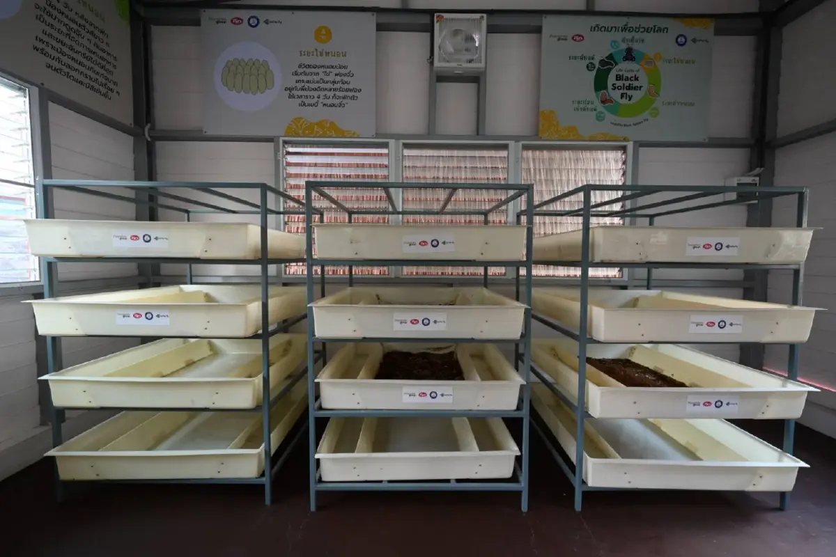 เปลี่ยนขยะเป็นทองด้วยนวัตกรรม BSF “น้ำมันพืชกุ๊ก” ปั้น 3 โรงเรียนต้นแบบ