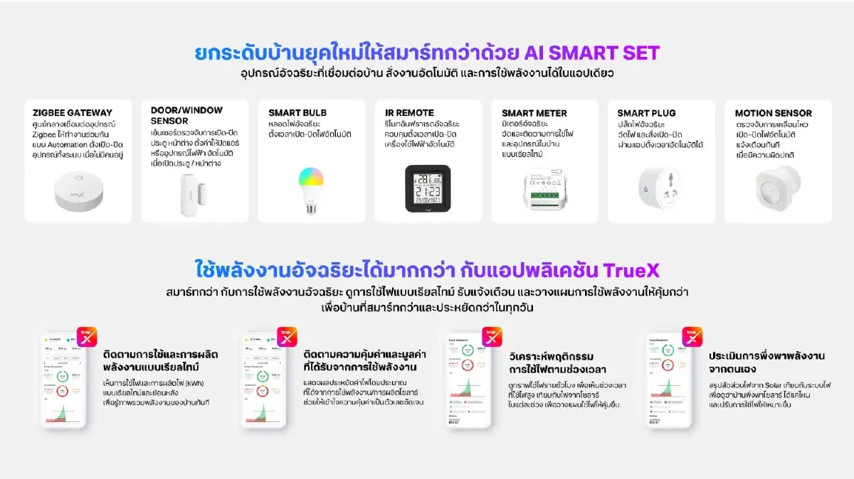 ทรูออนไลน์ผนึก Altervim ปั้นโซลาร์บ้านพ่วง AI ลดภาษีได้ 2 แสนรับหน้าร้อน