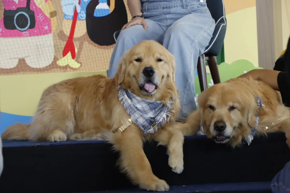 ททท. ดึงจุ๊มเหม่ง เจได ใจดี ชวน Pet Lover เที่ยวไทยสายกรีน