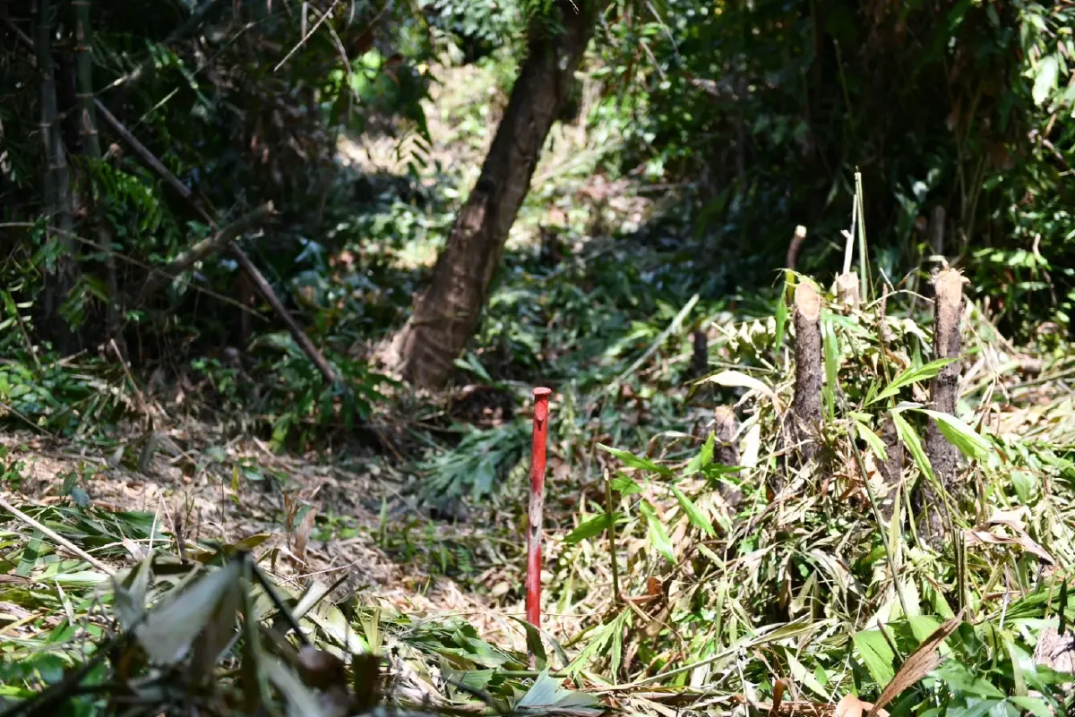 กทม.ลุยพลิกพื้นที่รกร้างบางซื่อ เพิ่มสวนสีเขียวกลางเมือง