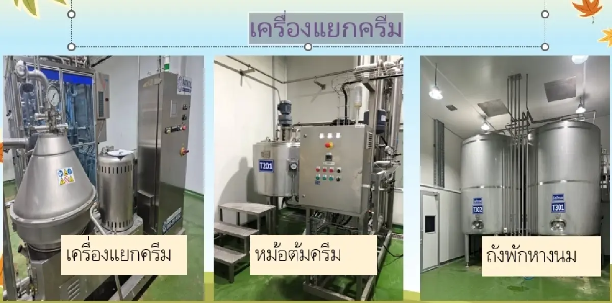 สหกรณ์โคนมกำแพงแสน ทุ่ม 300 ล้าน ผุดโรงงานนมผง แก้ปัญหาน้ำนมล้นตลาด-เพิ่มมูลค่าสินค้า