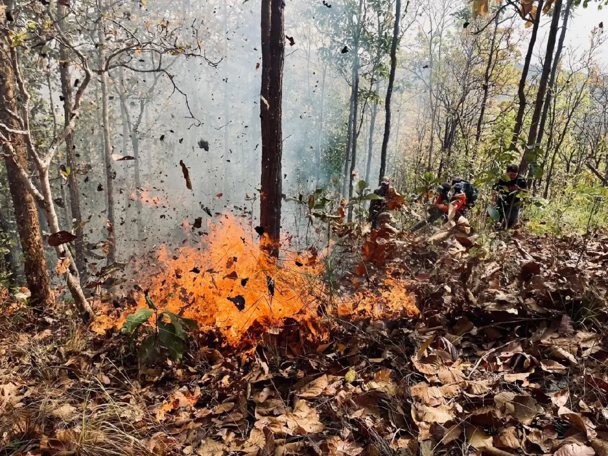 ‘ภัทรพงษ์’ จี้รัฐแก้ปัญหา 'ฝุ่นภาคเหนือ' วิกฤติหนัก! พุ่งทะลุ 500