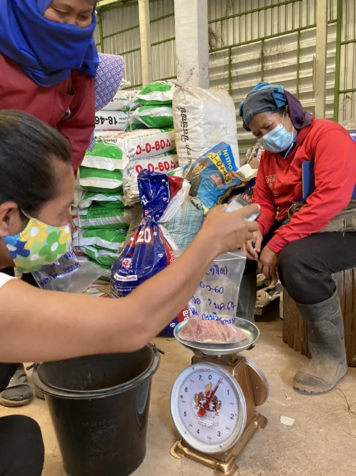 กรมส่งเสริมการเกษตรแนะปุ๋ย 4 ถูก ลดต้นทุนสู้ราคาแพงเพิ่มผลผลิต