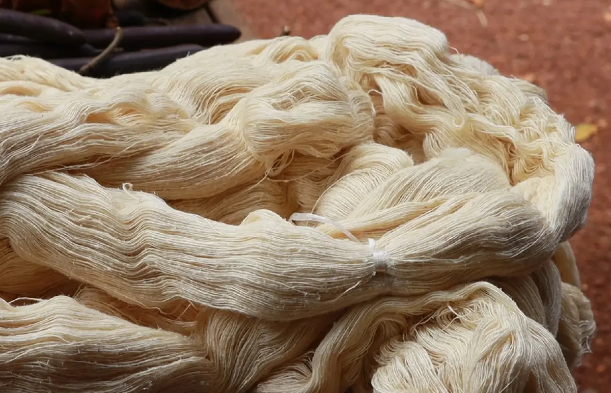 MUW.OFFICIAL แฟชั่นจากเปลือกทุเรียน เจาะกลุ่ม Gen Y สายมู