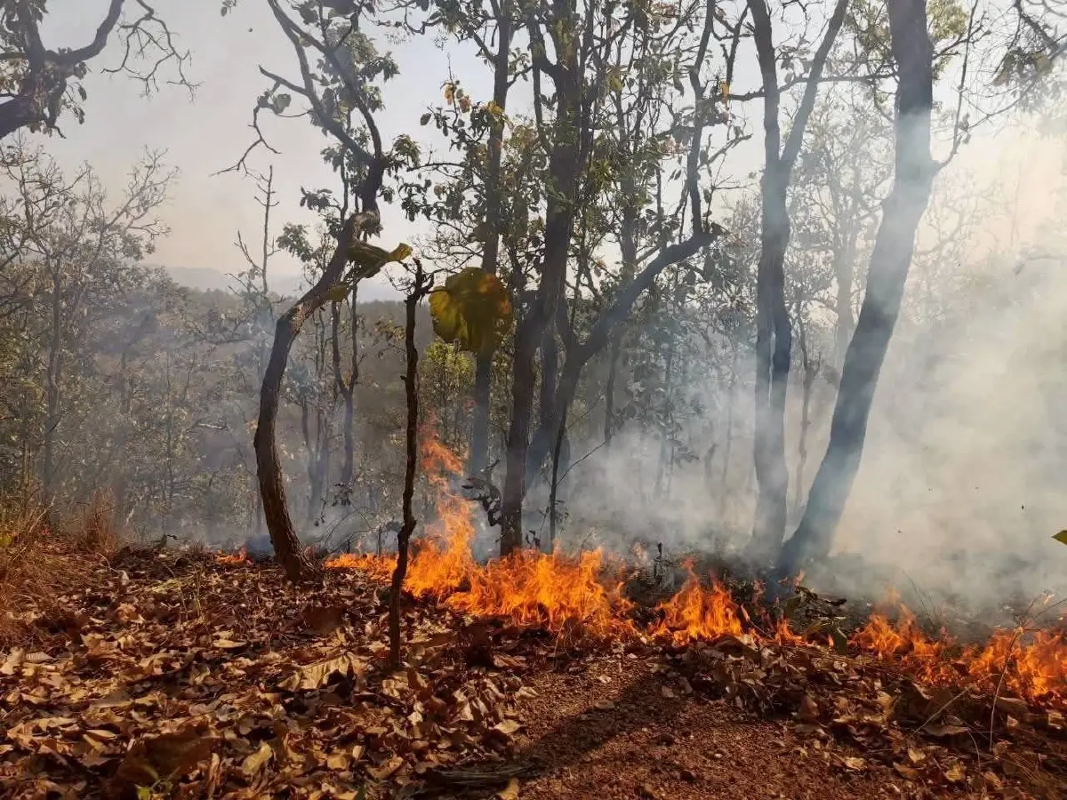 ‘ภัทรพงษ์’ จี้รัฐแก้ปัญหา 'ฝุ่นภาคเหนือ' วิกฤติหนัก! พุ่งทะลุ 500