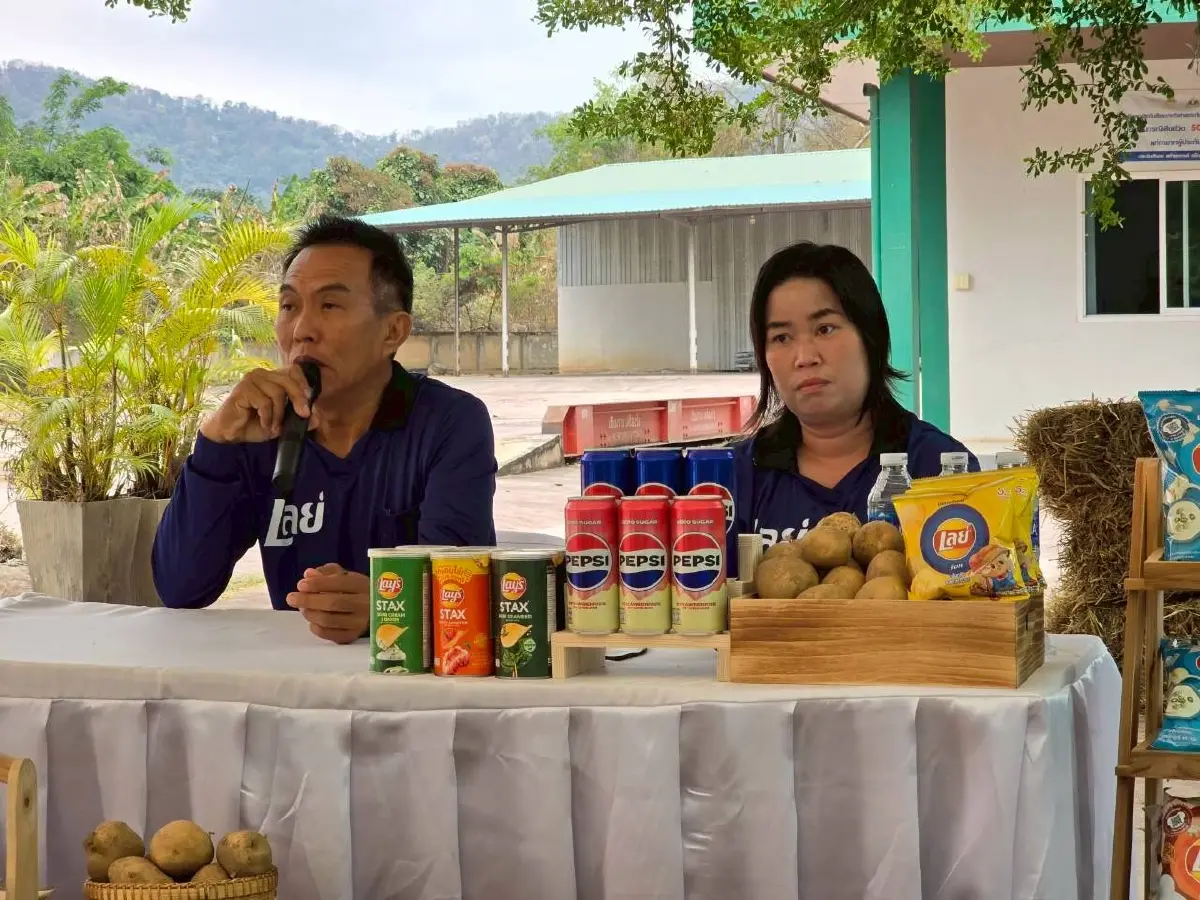 เจาะโมเดลเกษตรพันธสัญญา! "เป๊ปซี่โค" พลิกชีวิตเกษตรกรไทย ลุยมันฝรั่งยั่งยืนกว่าแสนตัน