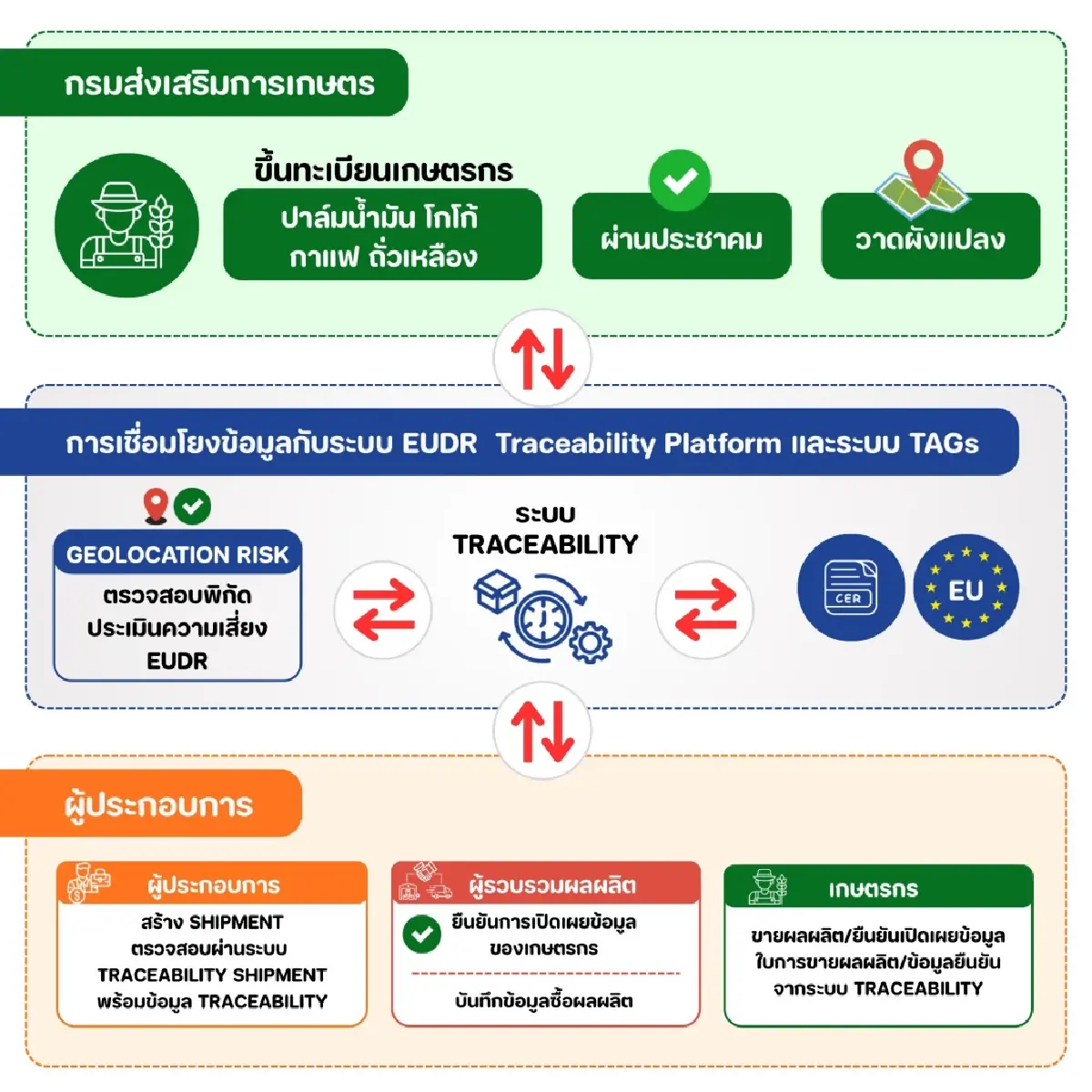 กรมส่งเสริมการเกษตร ดันทะเบียนเกษตรกร–Geoplots รับ EUDR