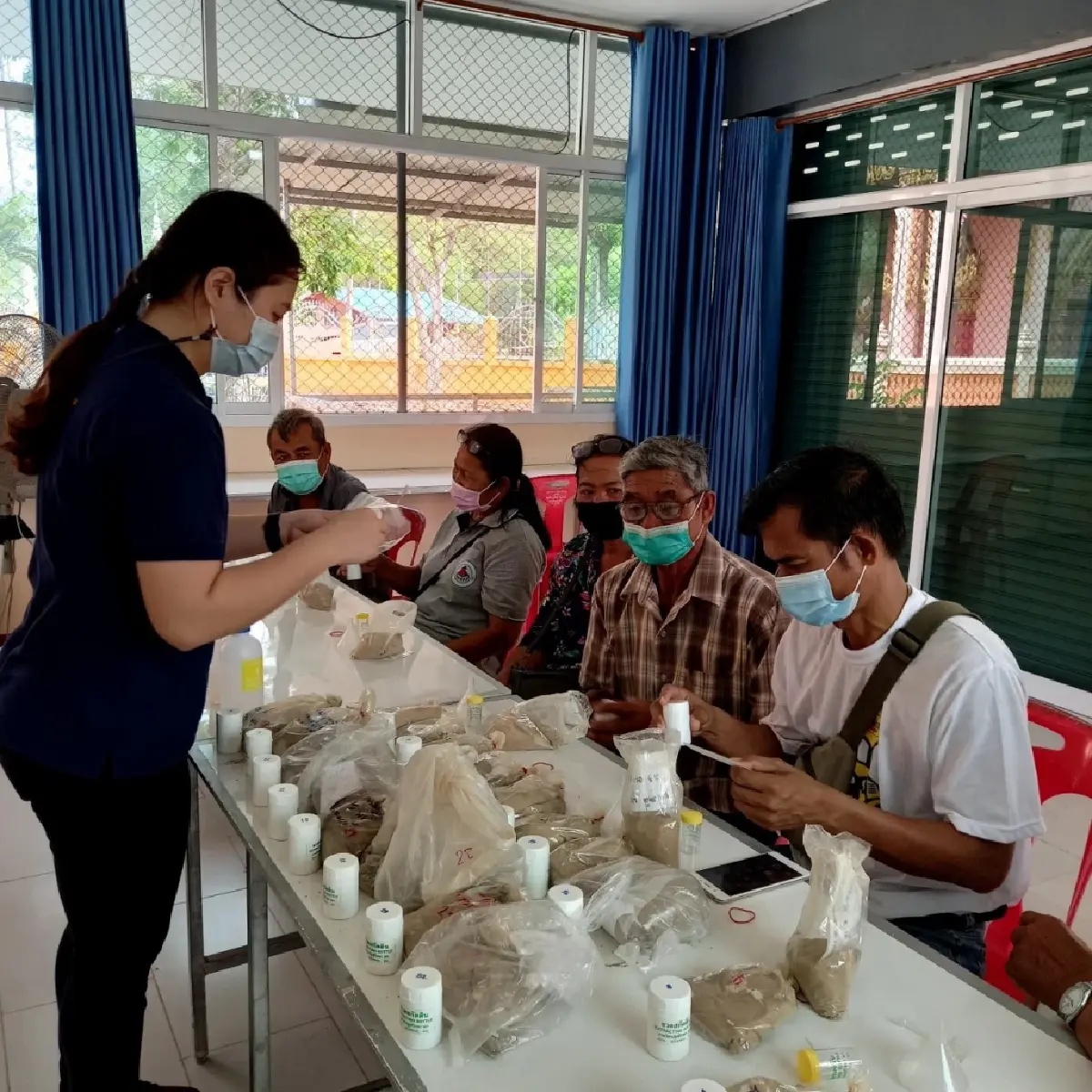 กรมส่งเสริมการเกษตรแนะปุ๋ย 4 ถูก ลดต้นทุนสู้ราคาแพงเพิ่มผลผลิต