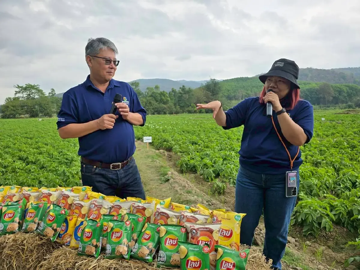 เจาะโมเดลเกษตรพันธสัญญา! "เป๊ปซี่โค" พลิกชีวิตเกษตรกรไทย ลุยมันฝรั่งยั่งยืนกว่าแสนตัน