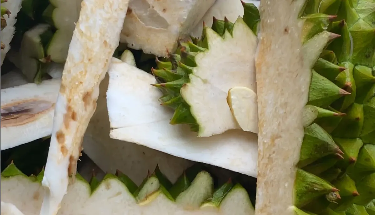 MUW.OFFICIAL แฟชั่นจากเปลือกทุเรียน เจาะกลุ่ม Gen Y สายมู