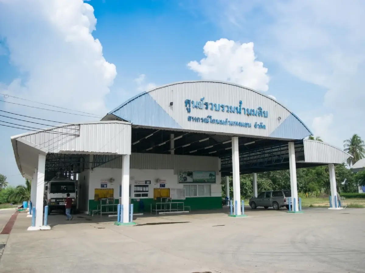 สหกรณ์โคนมกำแพงแสน ทุ่ม 300 ล้าน ผุดโรงงานนมผง แก้ปัญหาน้ำนมล้นตลาด-เพิ่มมูลค่าสินค้า