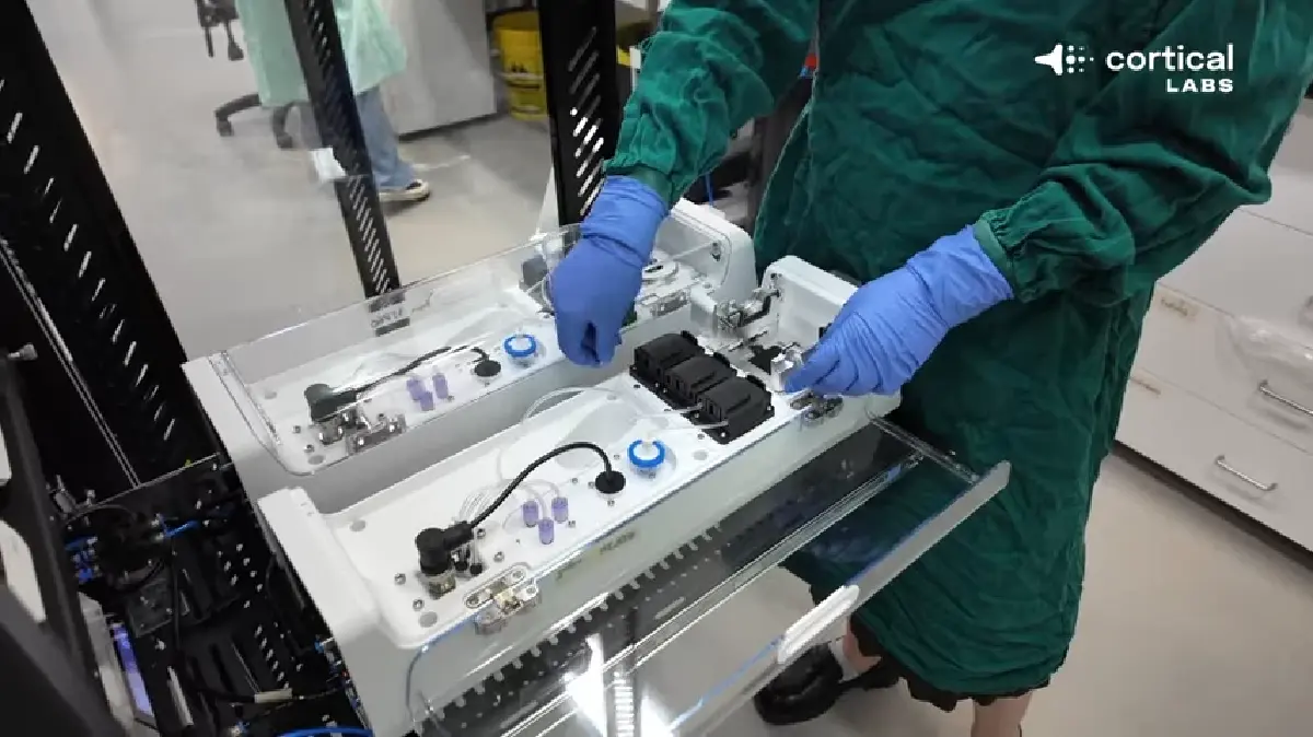 สตาร์ทอัพออสซี่ผุด Data Center ใช้เซลล์สมองมนุษย์ ประมวลผลแทนชิป