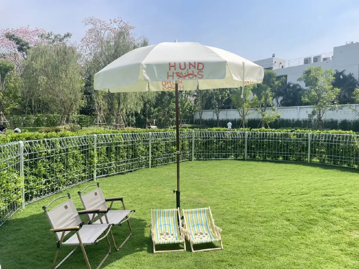 อดีตนักแข่งรถ "มินนี่ ณัฐนิช" ตั้ง "Hund Haus" คลับสุนัขที่ทาสยอมจ่ายหลักแสน