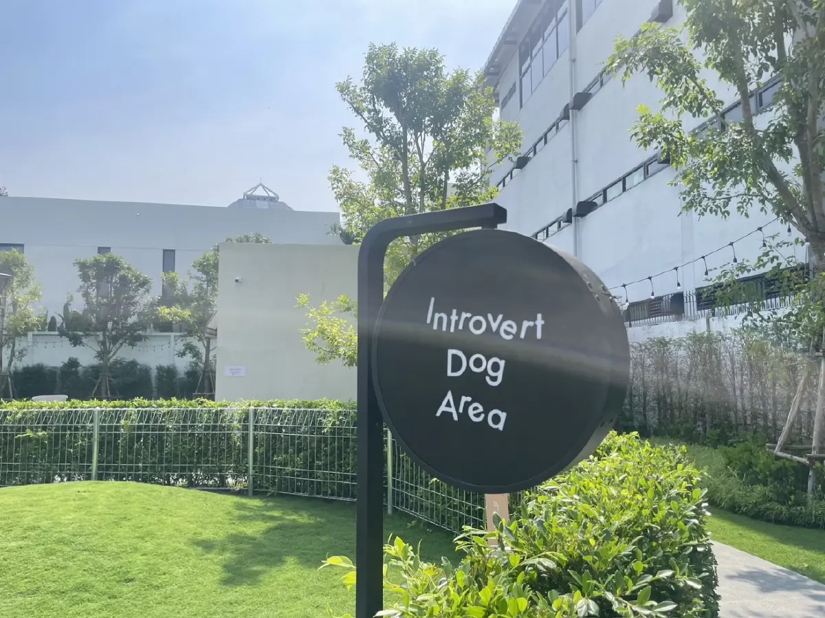 อดีตนักแข่งรถ "มินนี่ ณัฐนิช" ตั้ง "Hund Haus" คลับสุนัขที่ทาสยอมจ่ายหลักแสน