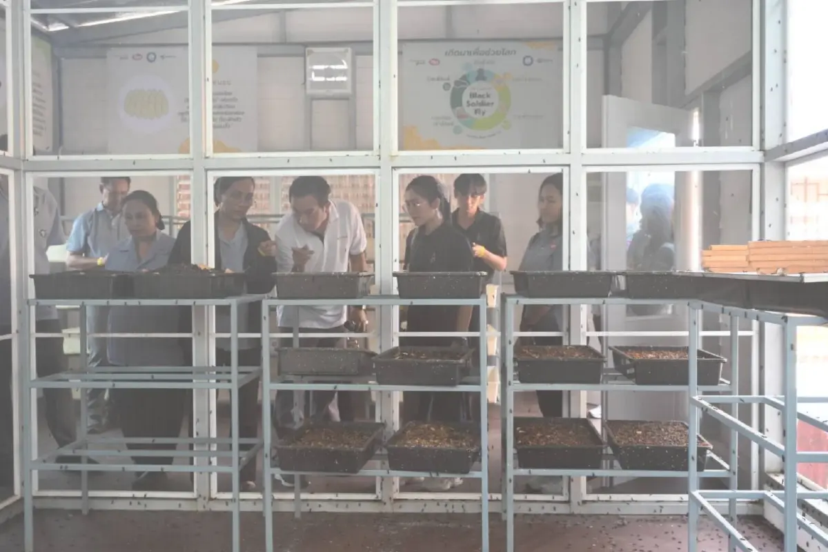 เปลี่ยนขยะเป็นทองด้วยนวัตกรรม BSF “น้ำมันพืชกุ๊ก” ปั้น 3 โรงเรียนต้นแบบ