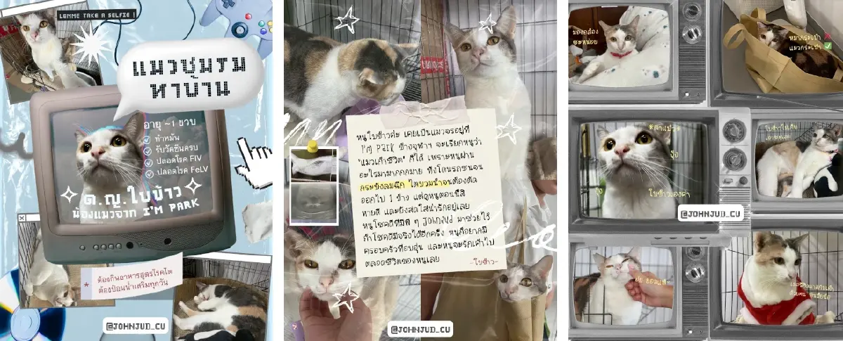 JohnJud โมเดลจัดการสัตว์จร โดยนิสิตจุฬาฯ สู่ชุมชนปลอดภัยยั่งยืน