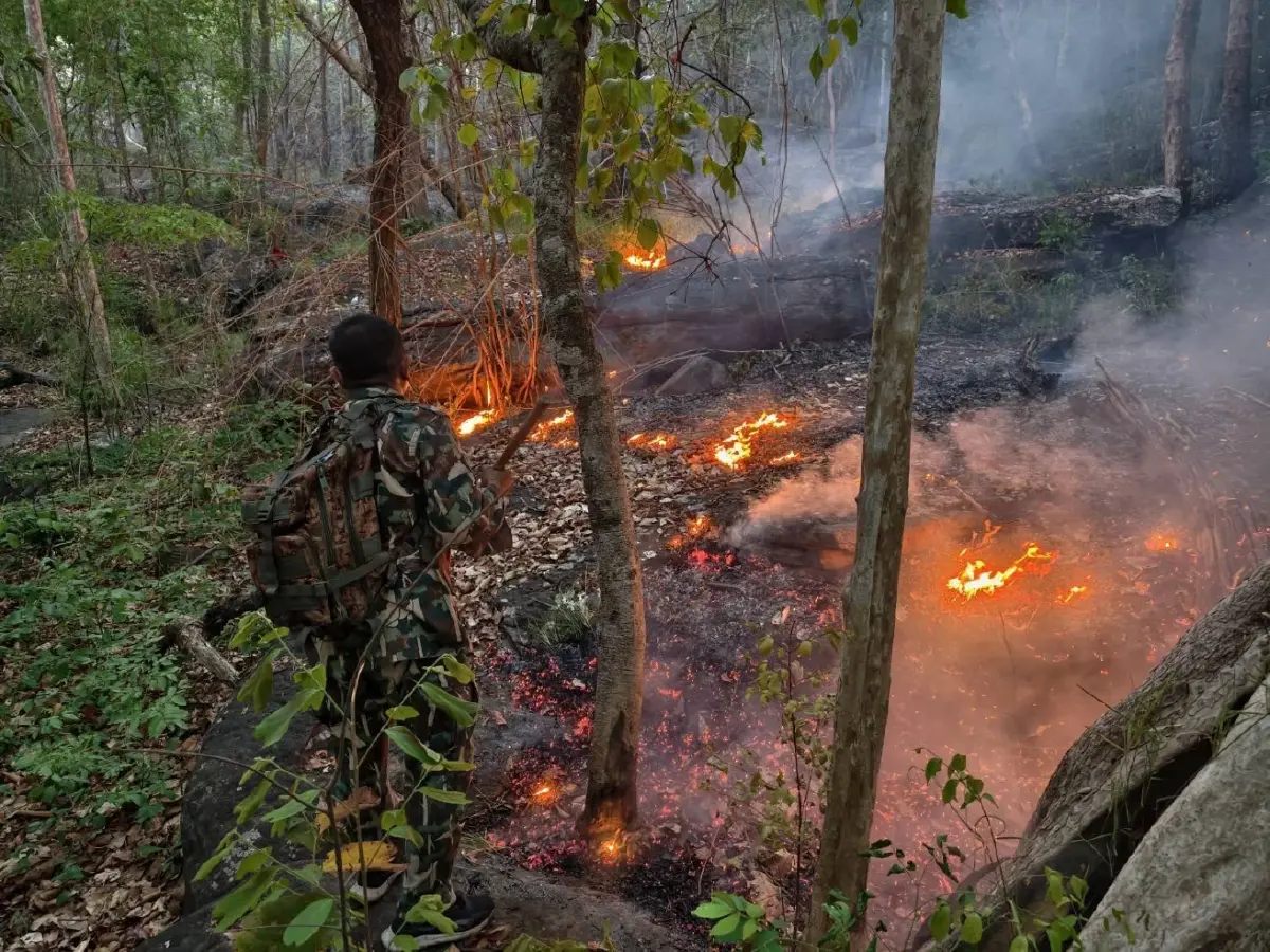 ฝนหลวงสู้ฝุ่นภาคเหนือ: ภารกิจความหวังท่ามกลางวิกฤต PM 2.5