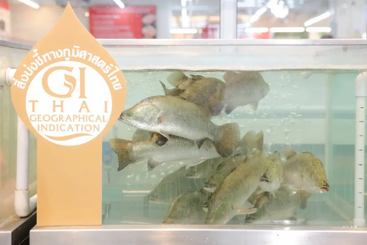 แม็คโคร-โลตัส ผนึกกรมทรัพย์สินทางปัญญา ปั้นแหล่งรวมสินค้า GI อันดับ 1 ช่วยเกษตรกรไทยโตยั่งยืน