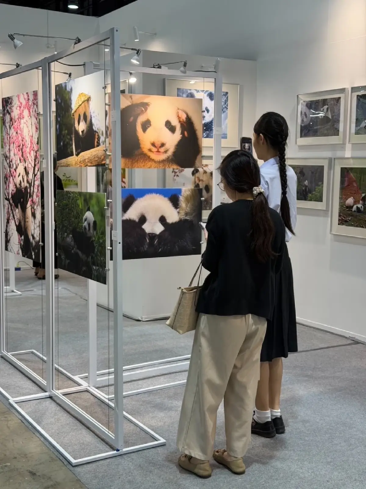 นิทรรศการแพนด้าหนุนสัปดาห์หนังสือฯ คึกคัก ดันยอด New Gen พุ่ง