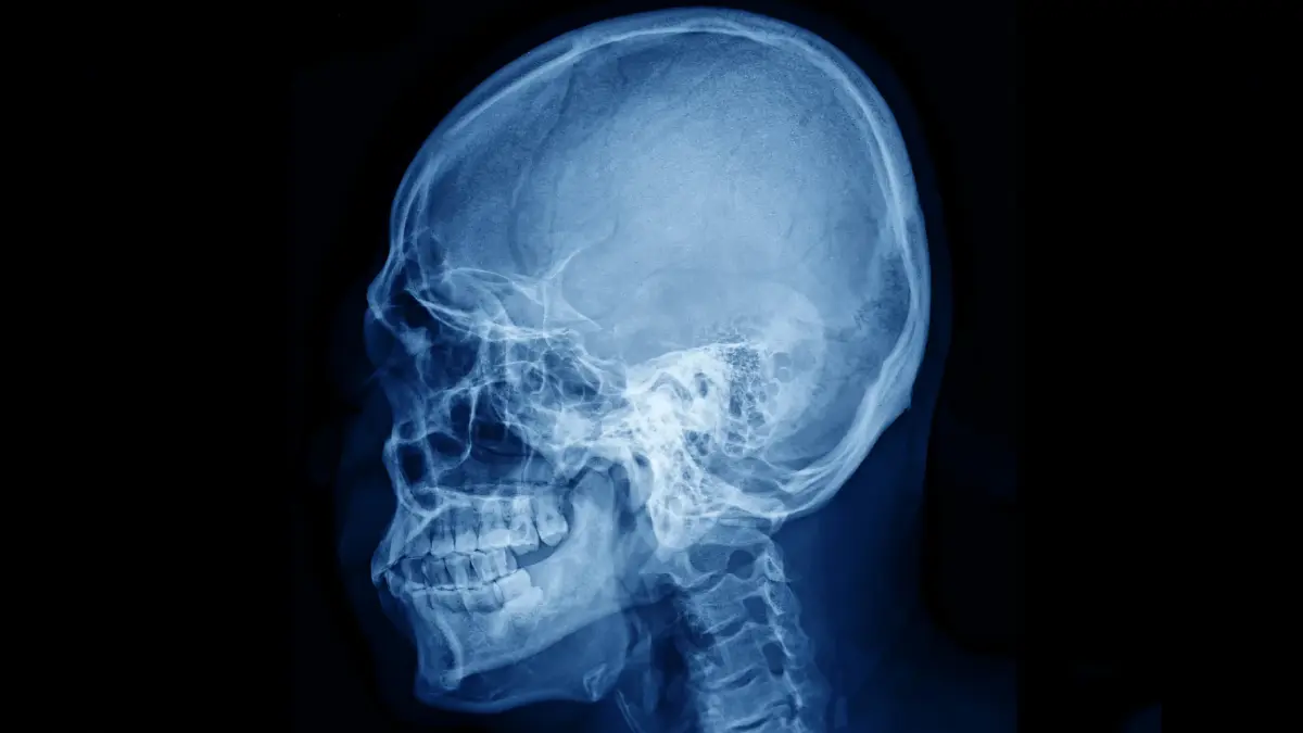 จากขนาดสมองสู่อัลกอริทึม! วิวัฒนาการ 'ความฉลาด' ในห้วงประวัติศาสตร์ของมนุษย์