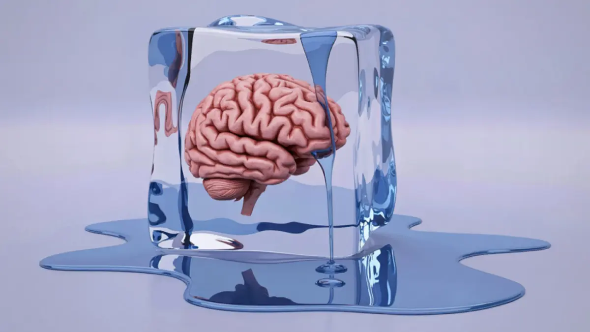 จากขนาดสมองสู่อัลกอริทึม! วิวัฒนาการ 'ความฉลาด' ในห้วงประวัติศาสตร์ของมนุษย์