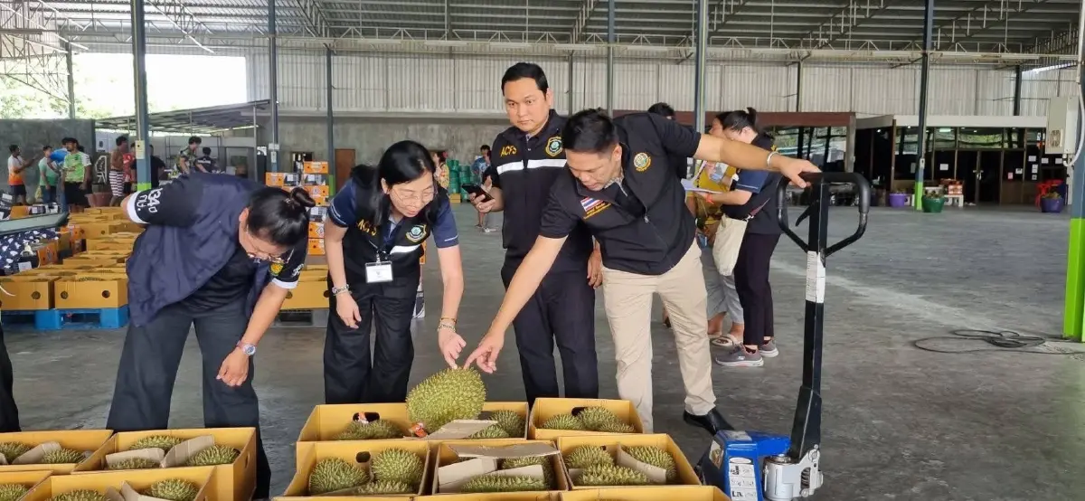 กระทรวงเกษตรและสหกรณ์ ตรวจเข้มมาตรฐานทุเรียน ฤดูกาล 2569