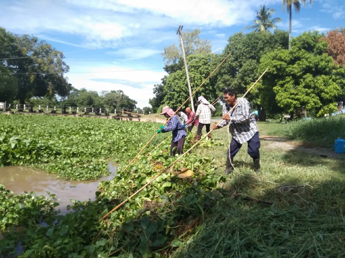 ยอดสมัครทะลุแล้วกว่า 4.7 หมื่นคน หลัง ชป.เปิดสมัครแรงงานทั่วไทยสู้หน้าแล้ง