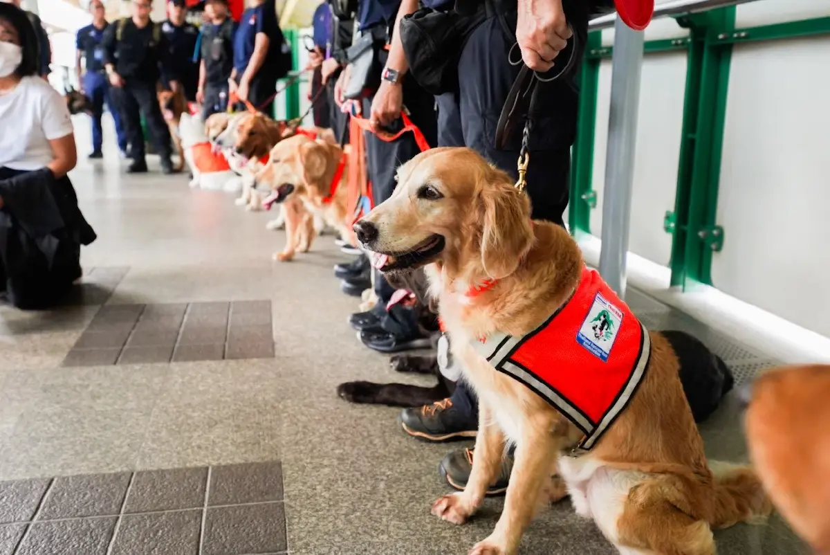 บีทีเอสเปิดสถานีรับทีม K9 USAR ฝึกซ้อมเดินทางไกล
