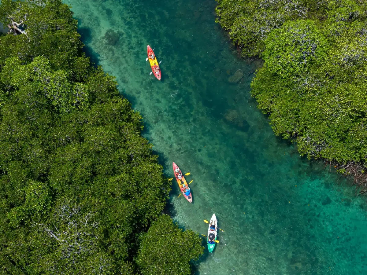 SAii Hotels & Resorts เปิดตัว Peace of Mind เวลเนสที่พาคุณกลับมาเป็นตัวเอง