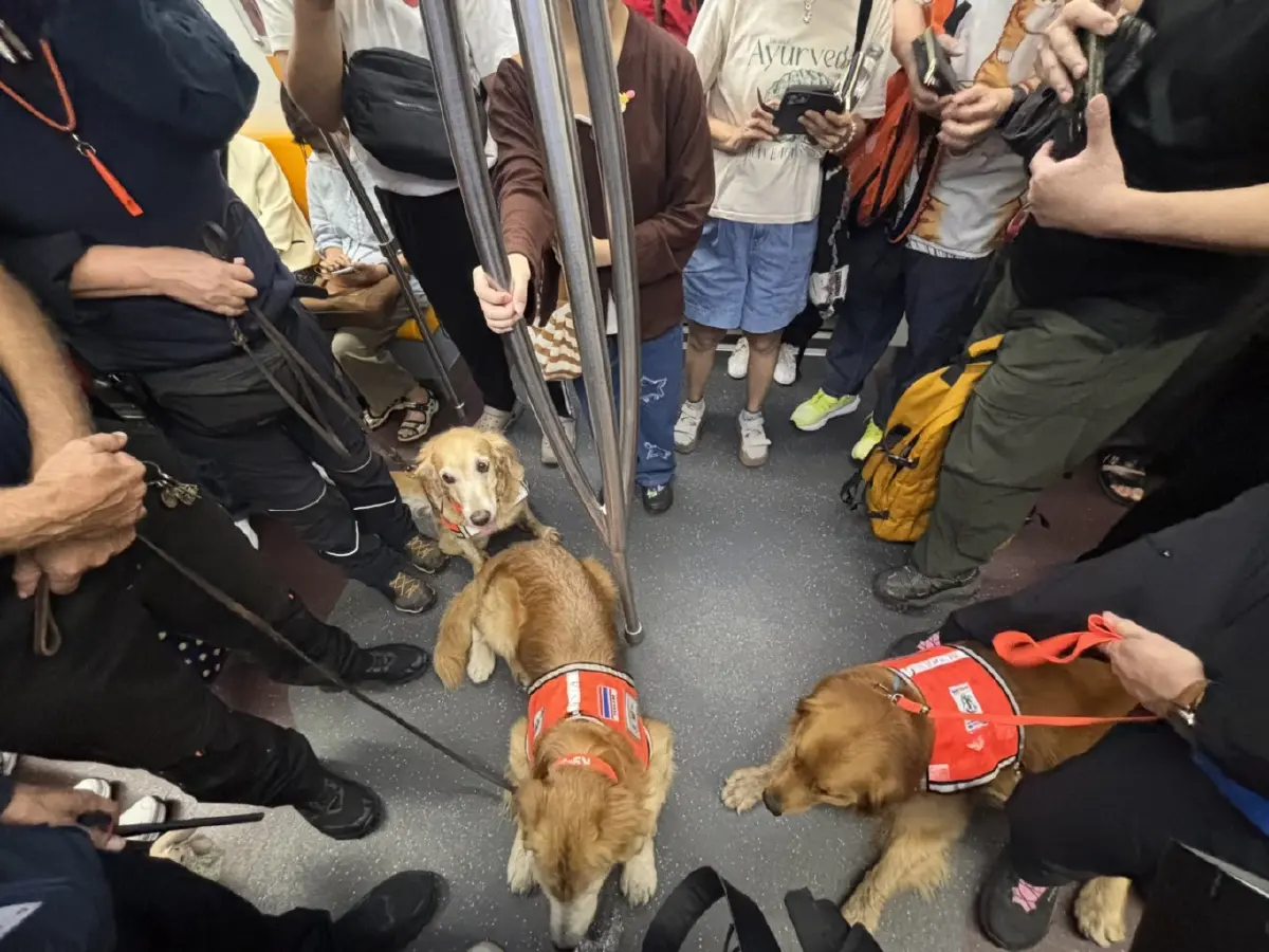 บีทีเอสเปิดสถานีรับทีม K9 USAR ฝึกซ้อมเดินทางไกล