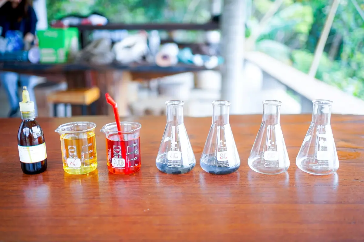 อัปเกรดกาแฟเกอิชาไทย-ต่อยอดเปลือกกาแฟ สู่นวัตกรรมกรองน้ำ