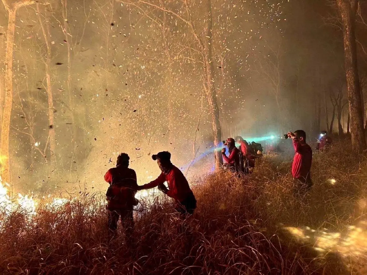 นายกฯ สั่งการ มท. - ทส. คุมเข้ม ป่าสงวน-อนุรักษ์ทุกพื้นที่เสี่ยง ป้องกันไฟป่า