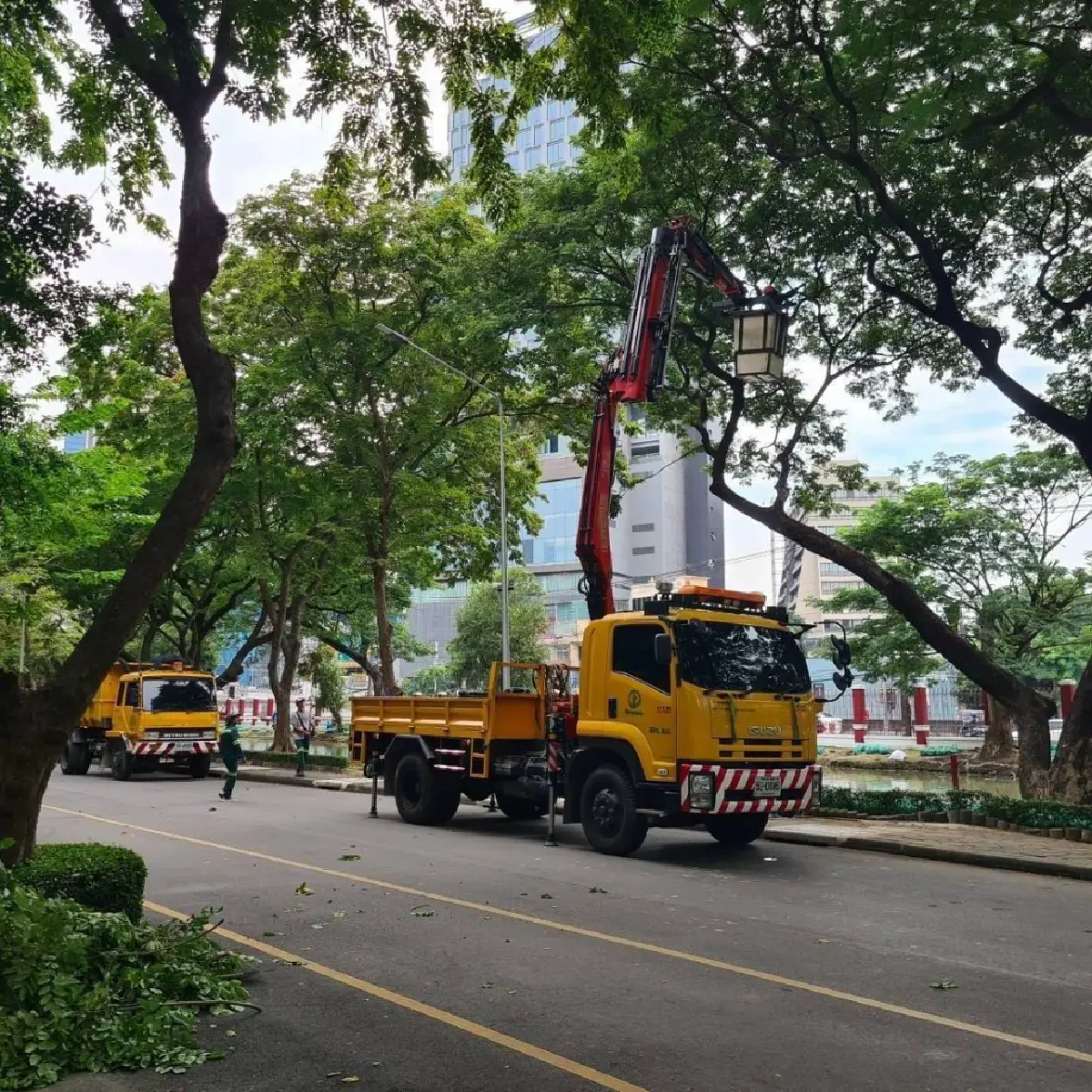 กทม.ลุยเอ็กซเรย์ต้นไม้ใหญ่ทั่วกรุง รับมือพายุฤดูร้อน จัดทีมฉุกเฉิน24ชม.